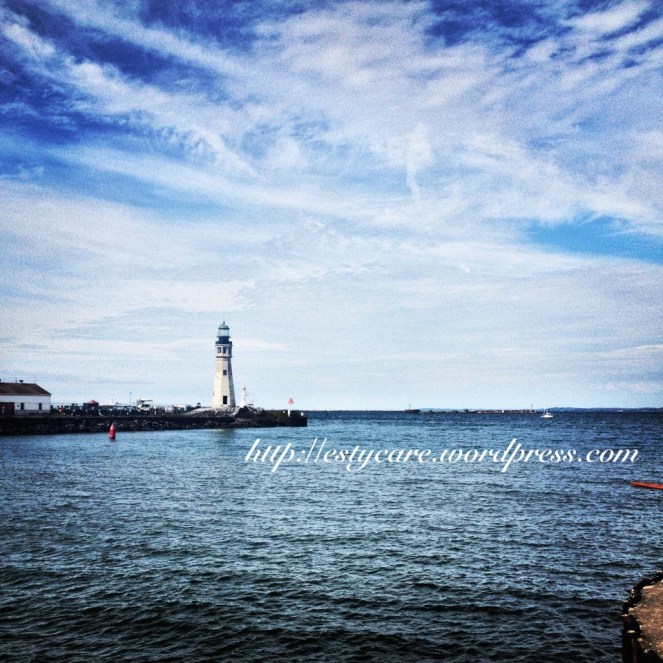 heartwalk2013 1