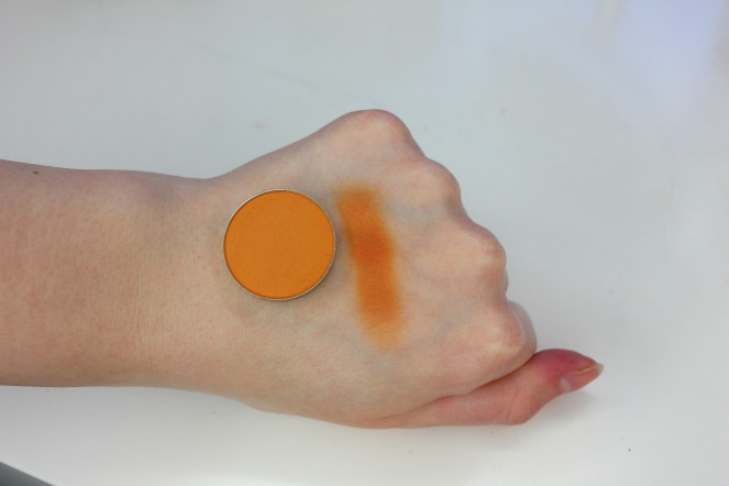 MUG Chickadee Swatch 2