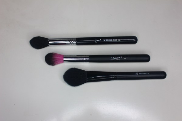 Sedona Lace PrettyLilMzGrace brush set - 313 brush comparisons